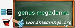 WordMeaning blackboard for genus megaderma